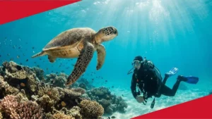 アクティビティ